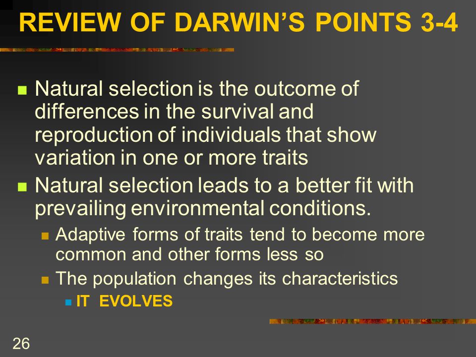 An analysis of change as the darwinian condition for survival
